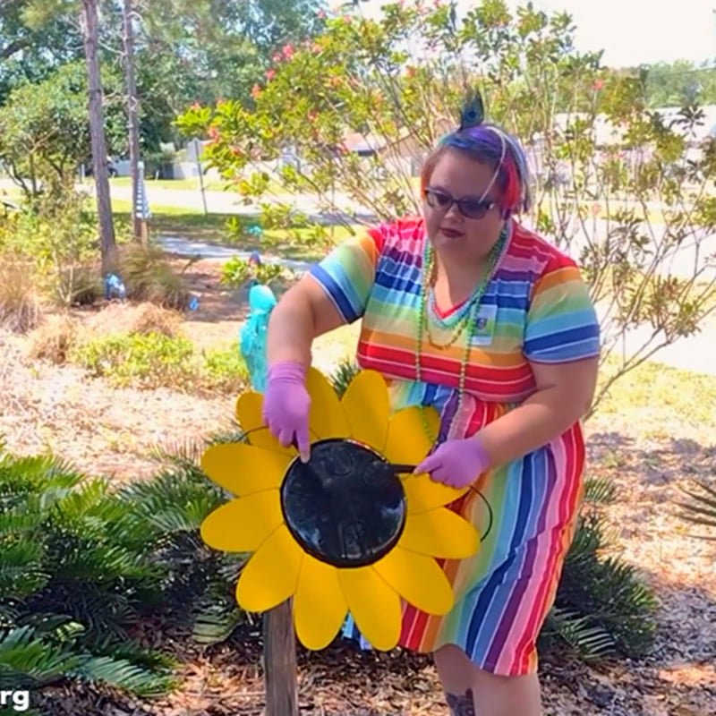 Palm Harbor Library's Outdoor Music Garden Fosters Future Musicians of All Ages and Abilities Post-Covid preview 6